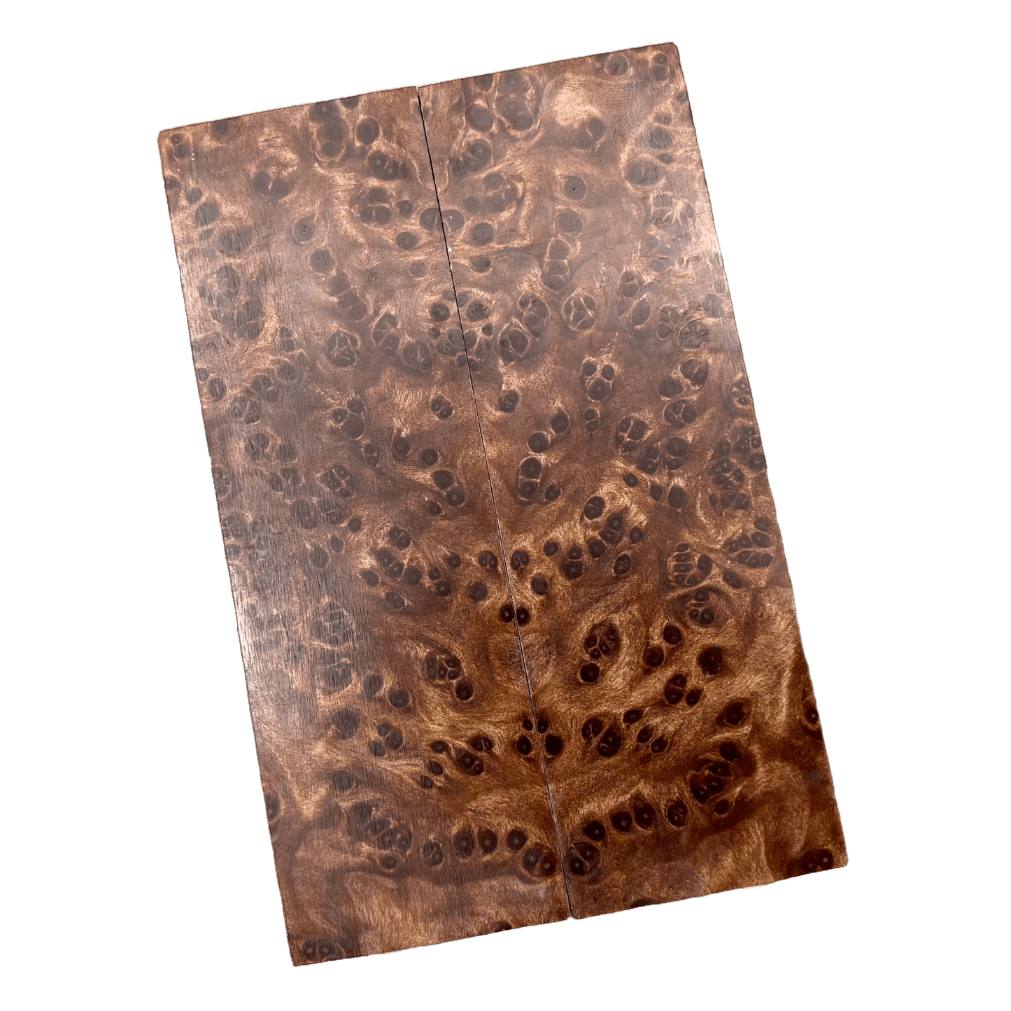 Redwood Burl Scales (K&G stabilized) - REB23