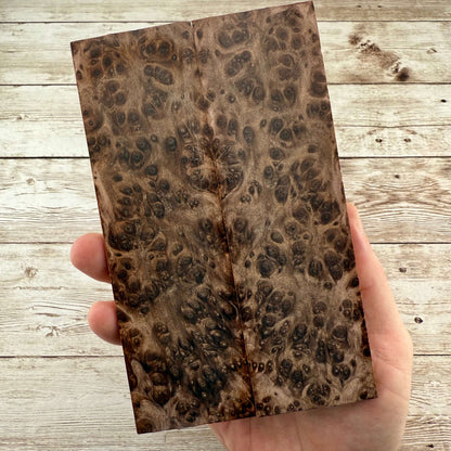 Redwood Burl Scales (K&G Stabilized) - REB32