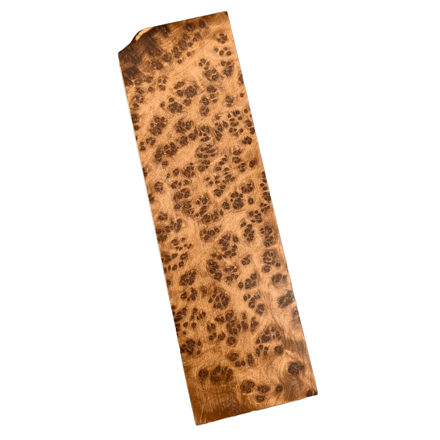 Thuya Burl Block (Natural) - THB06