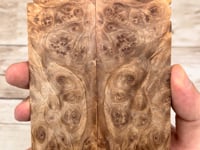 Maple Burl Scales (K&G Stabilized) - MB26