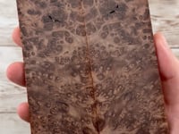 Redwood Burl Scales (K&G Stabilized) - REB31
