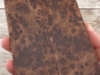 Redwood Burl Scales (K&G Stabilized) - REB57