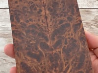 Redwood Burl Scales (K&G Stabilized) - REB63