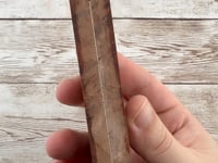 Redwood Burl Scales (K&G Stabilized) - REB74