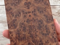 Redwood Burl Scales (K&G Stabilized) - REB73