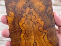 Desert Ironwood Burl Scales (Natural) - DBS01