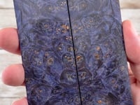 Blue Box Elder Folder Scales (K&G Stabilized) - BE09