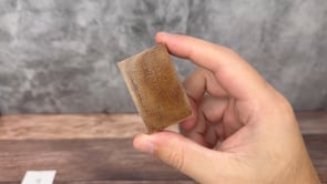 Vintage Burnt Sienna Canvas Scales